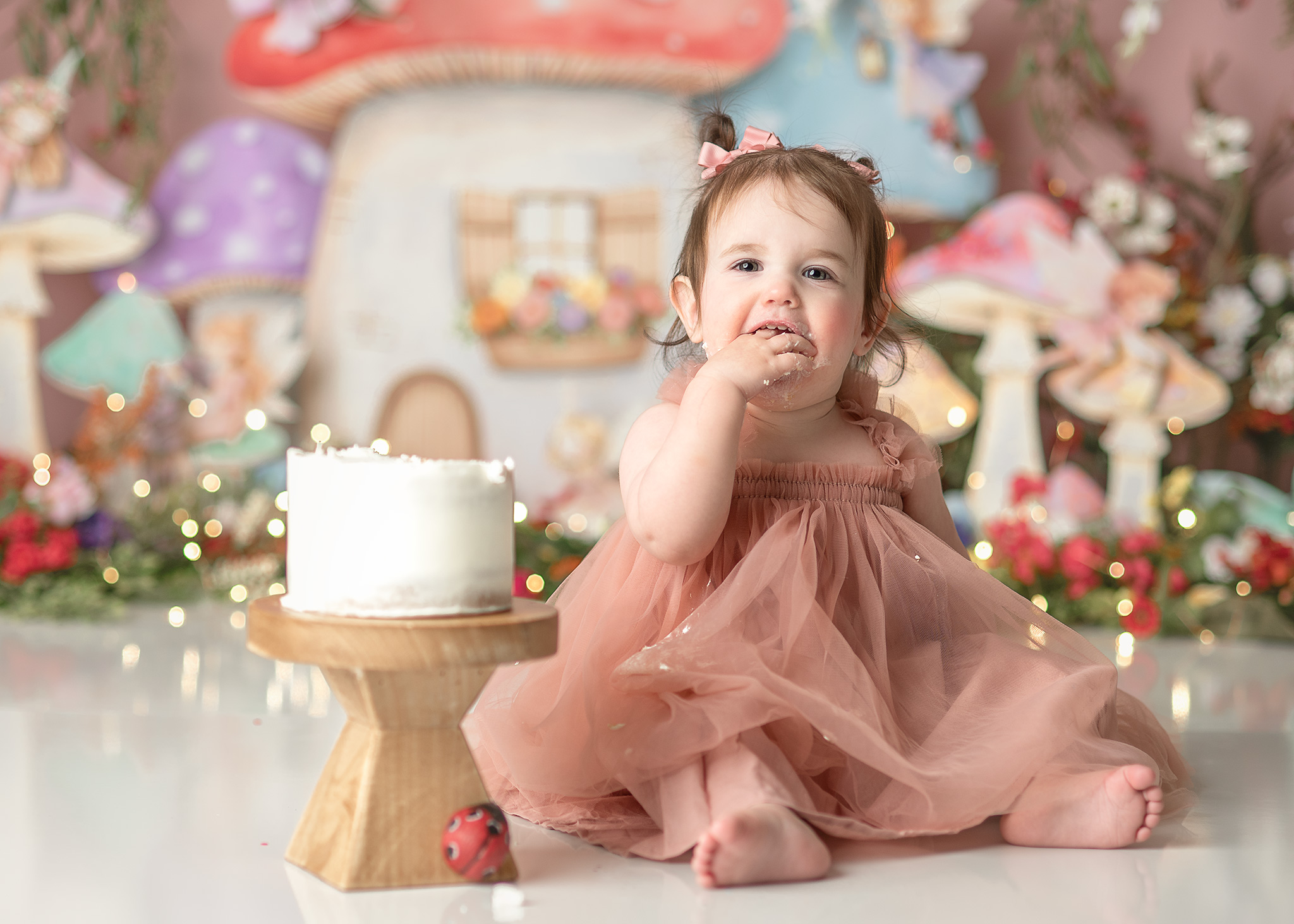 fairy photoshoot, smash cake, first birthday nebraska, crete first birthday photoshoot, birthday pictures